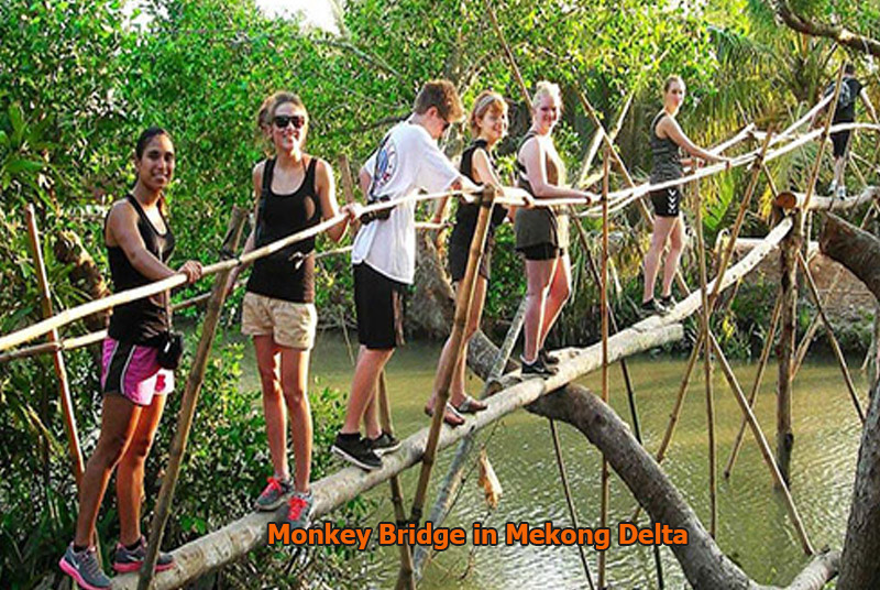 Monkey Bridge in Mekong